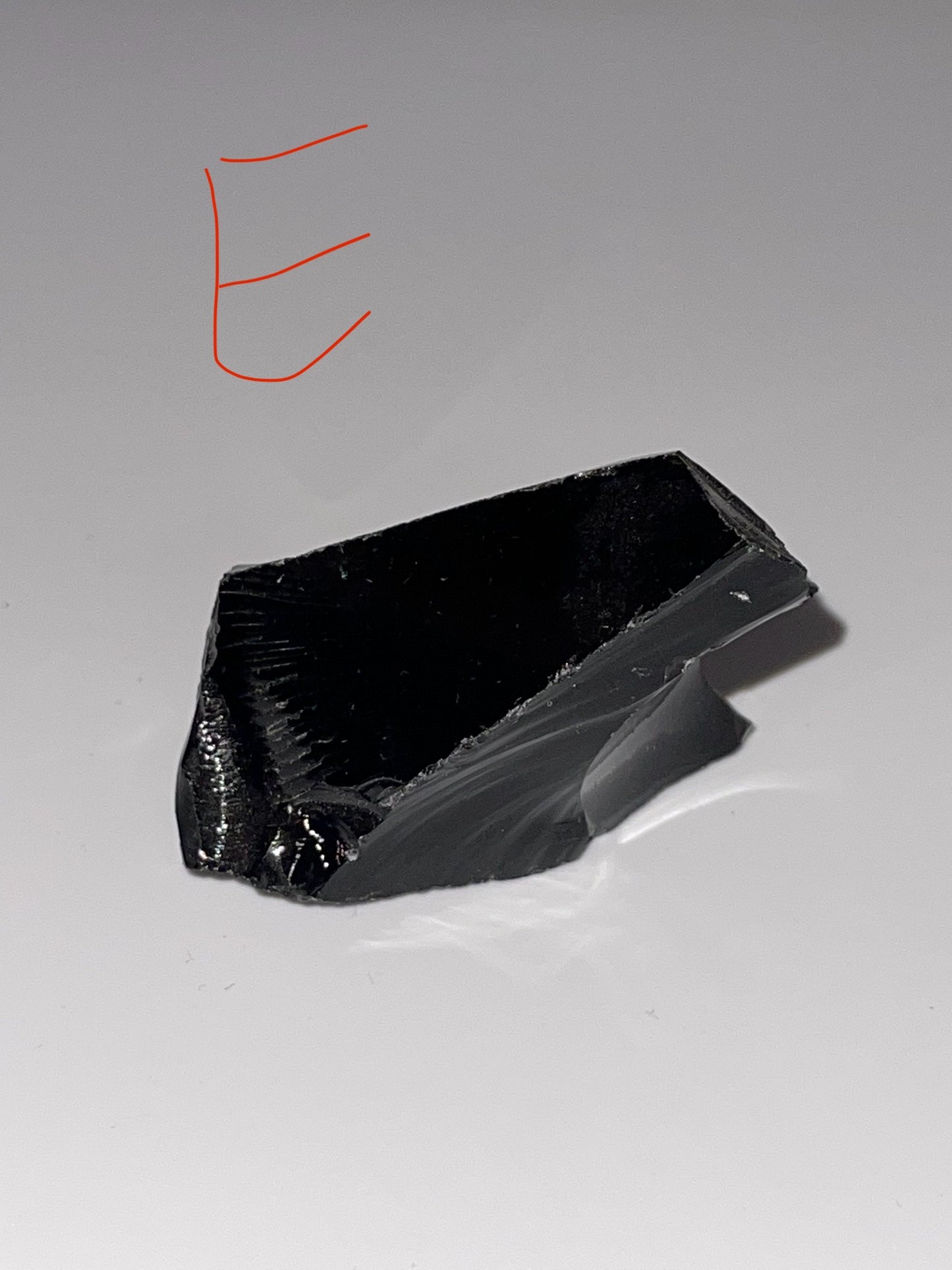 Elite Shungite