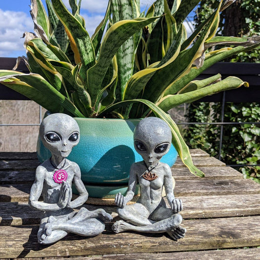 Alien Invasion "Zen and Yoga” Couple Meditating Figurine Set: Gray