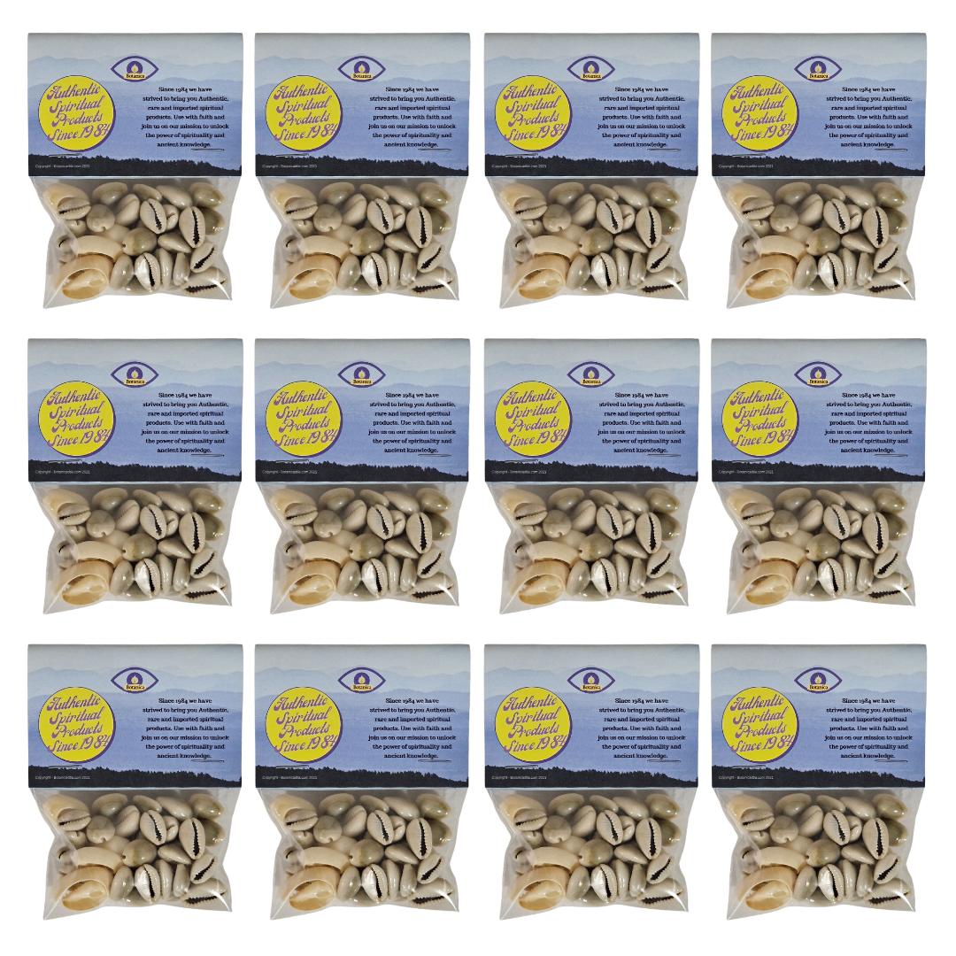 Cowrie Shells 100% Natural 1 oz Bag