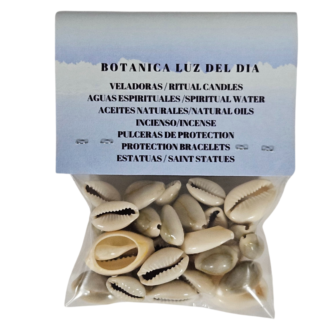 Cowrie Shells 100% Natural 1 oz Bag