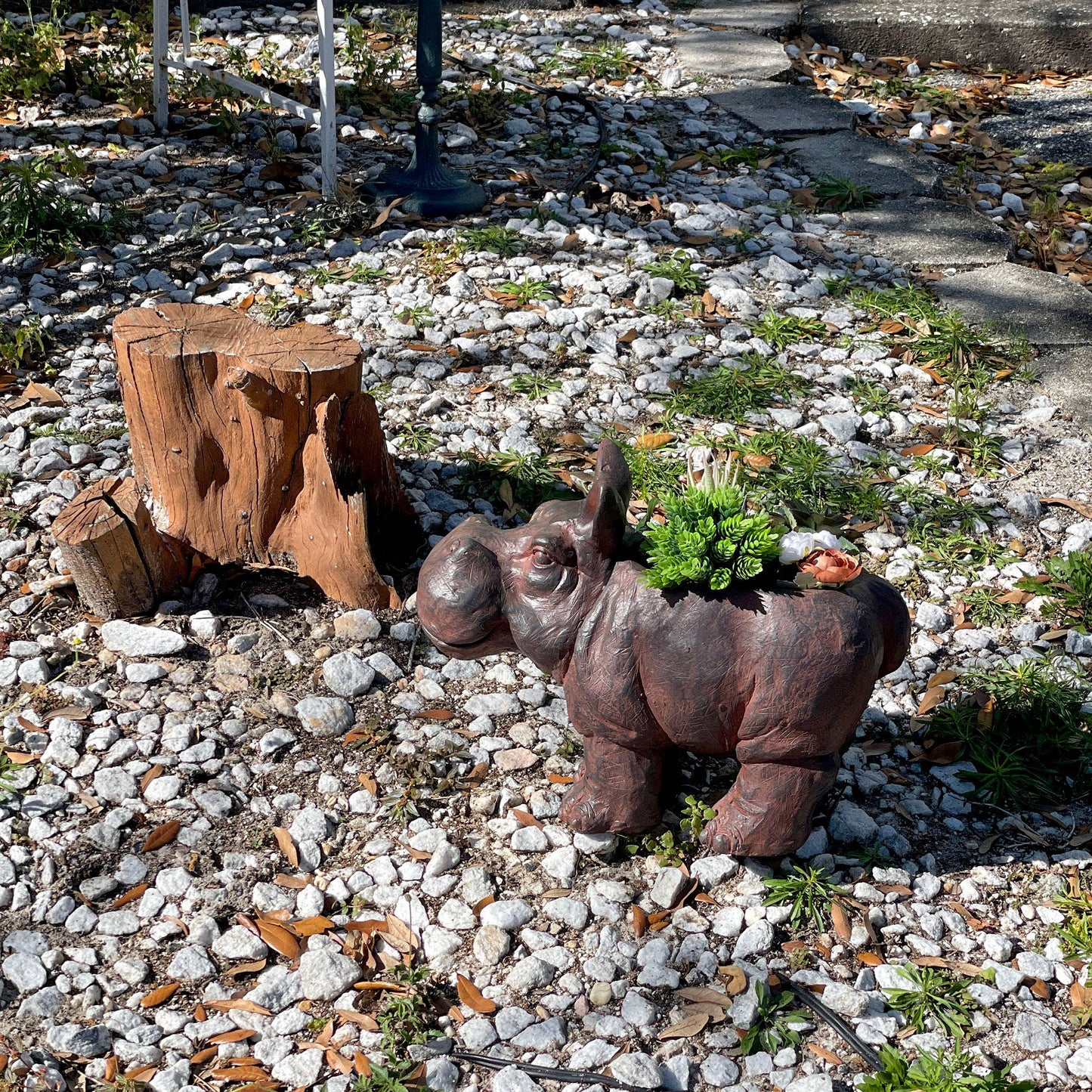 Charming Brown Hippopotamus Planter with Drain Hole
