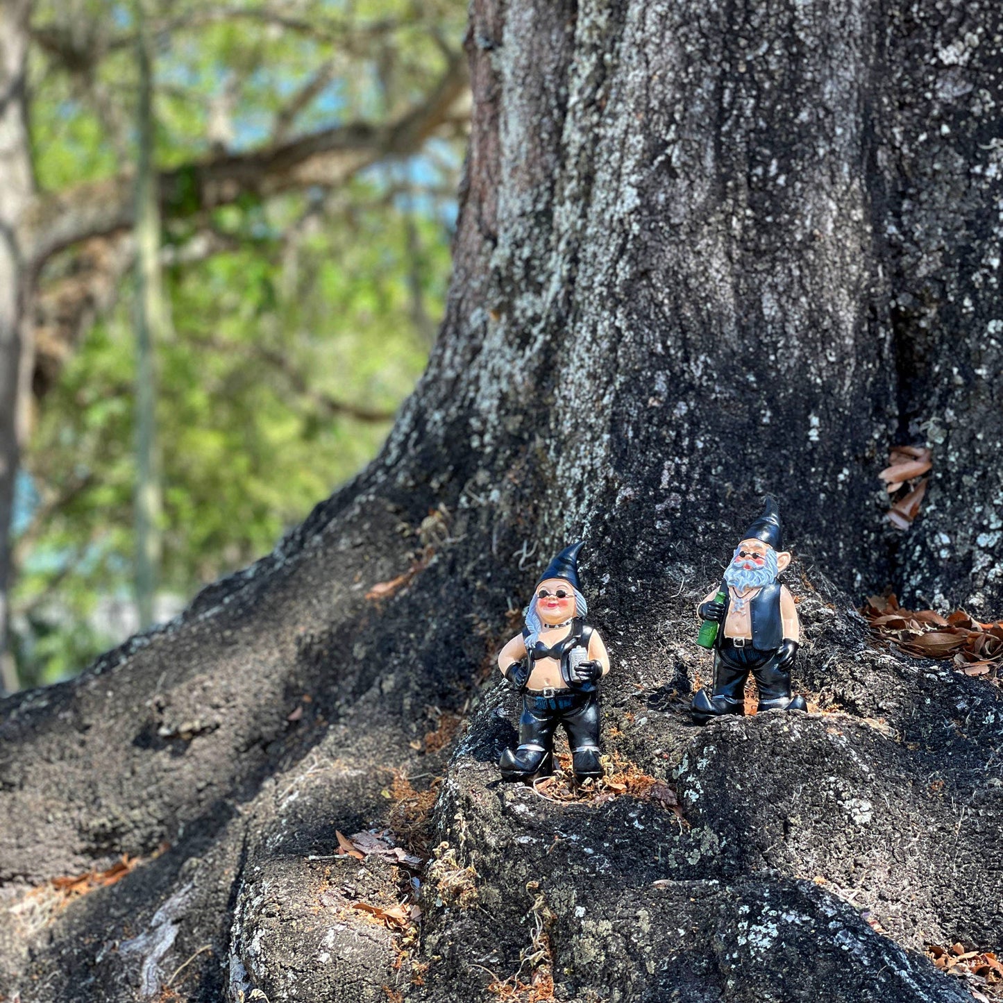 Gnoschitt & Gnofun Biker Gnome Garden Statues 7.5 Inches