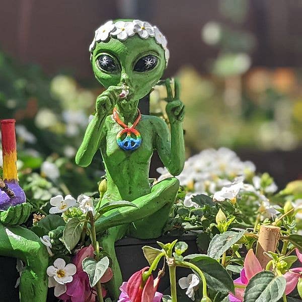 “Hippie and Stoner” 10 Inch H Alien Shelf Sitter Statues: Green