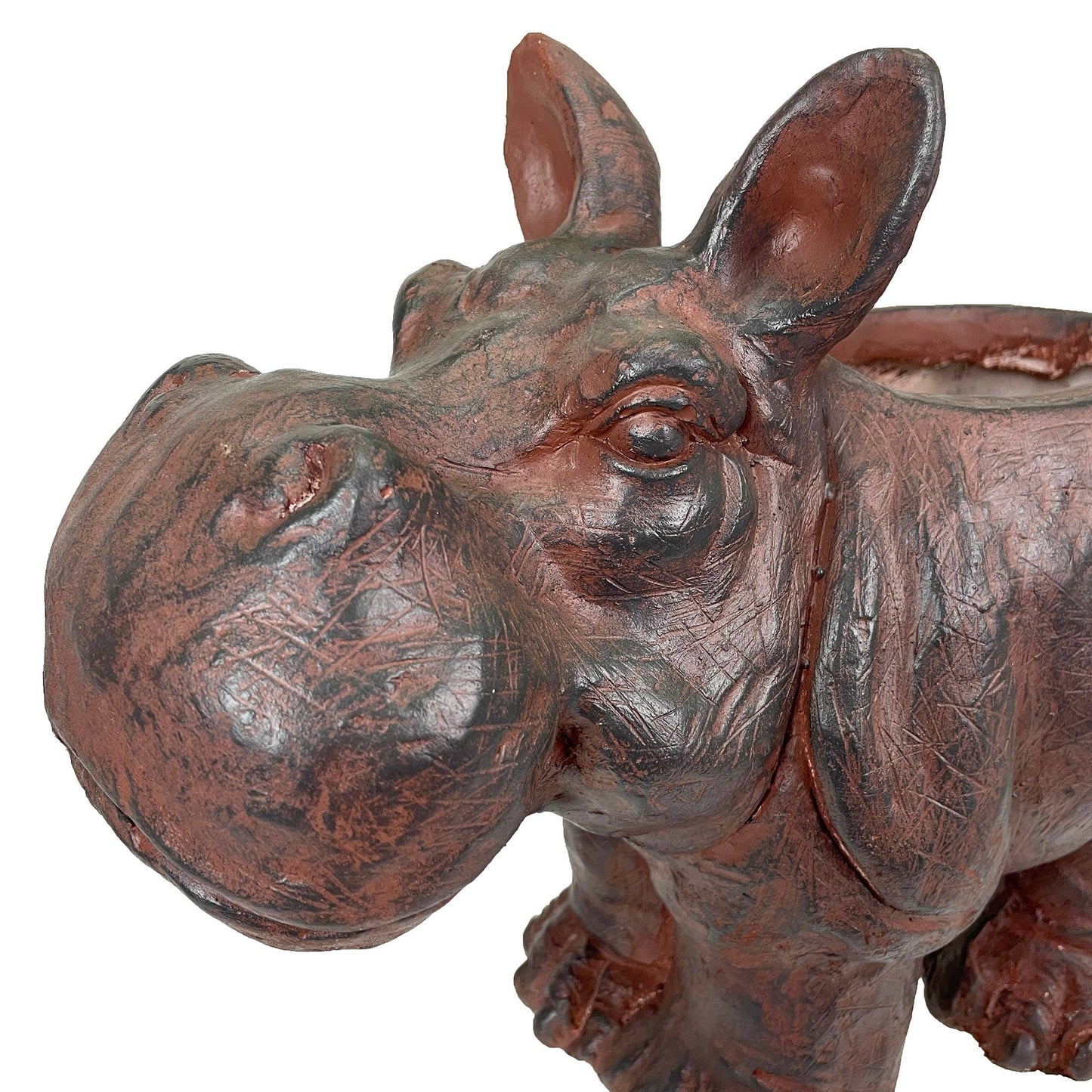 Charming Brown Hippopotamus Planter with Drain Hole