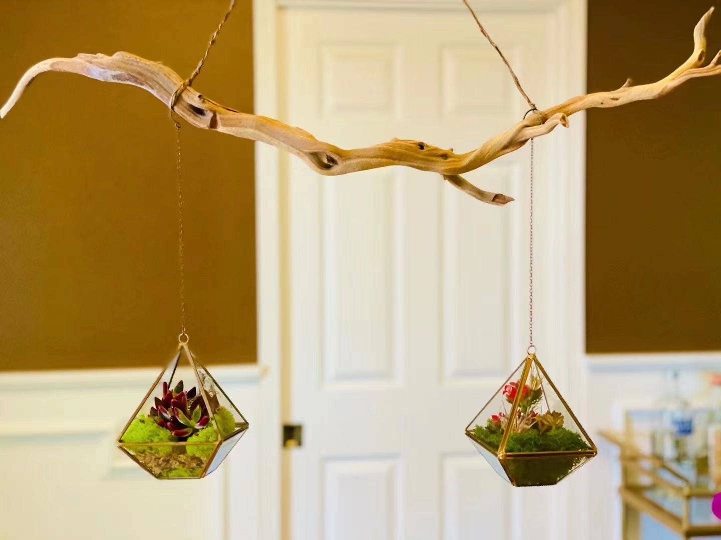 WGV Copper Gold Raised Pyramid Geometric Glass Terrarium - 8"H