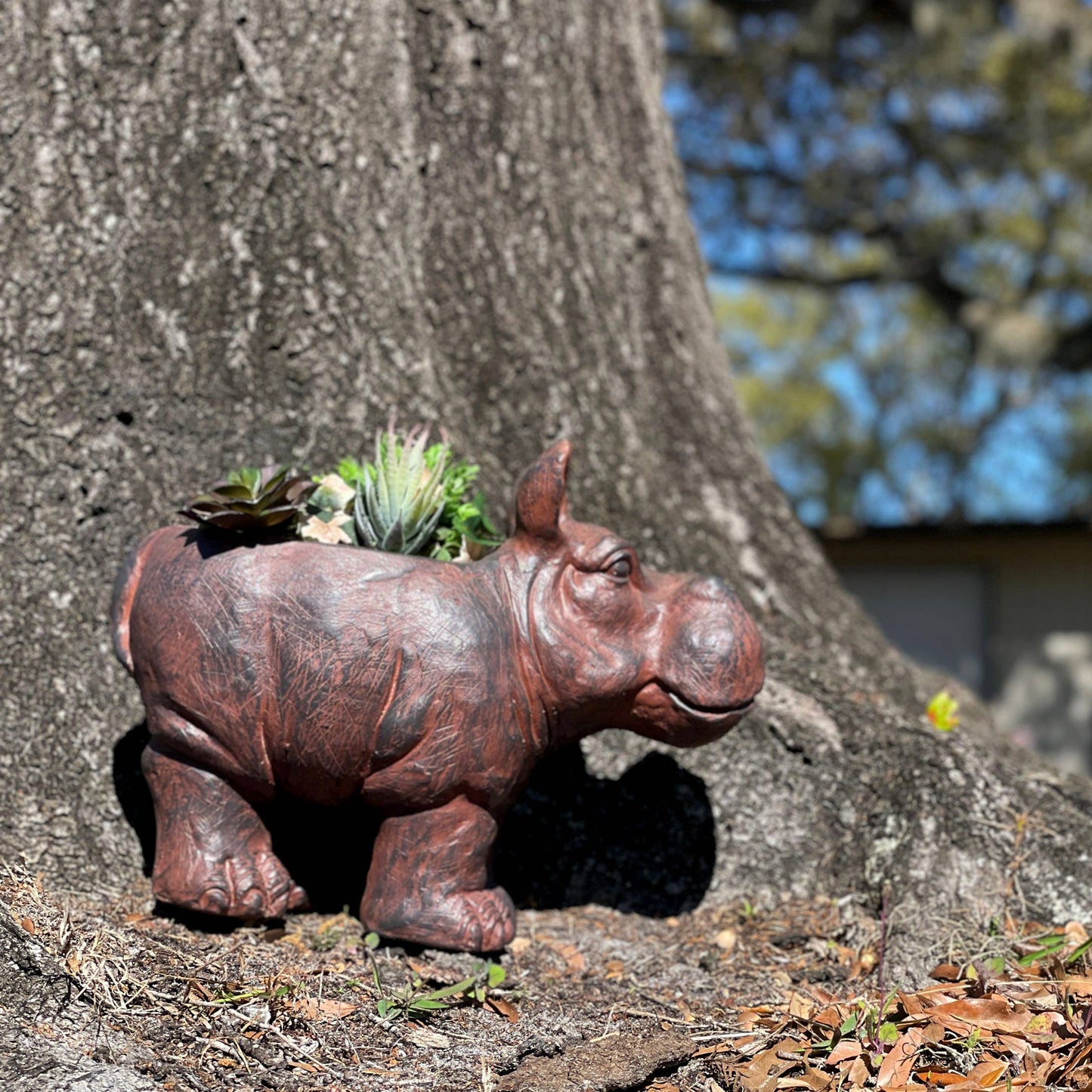 Charming Brown Hippopotamus Planter with Drain Hole