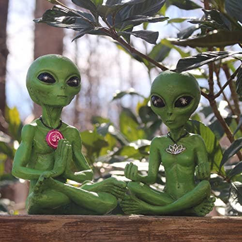 Alien Invasion "Zen and Yoga” Couple Meditating Figurine Set: Gray