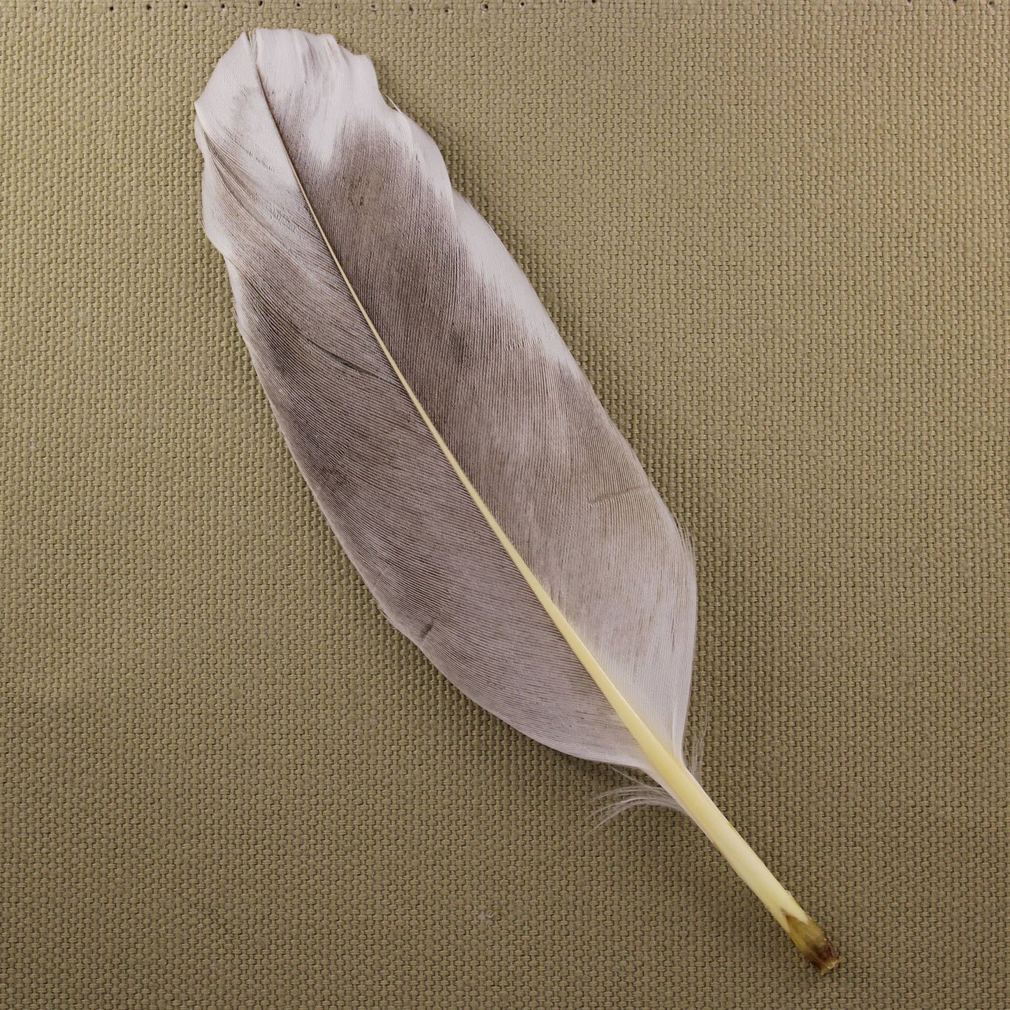 House Blessing/Space Clearing Kit In A Hangable Bag