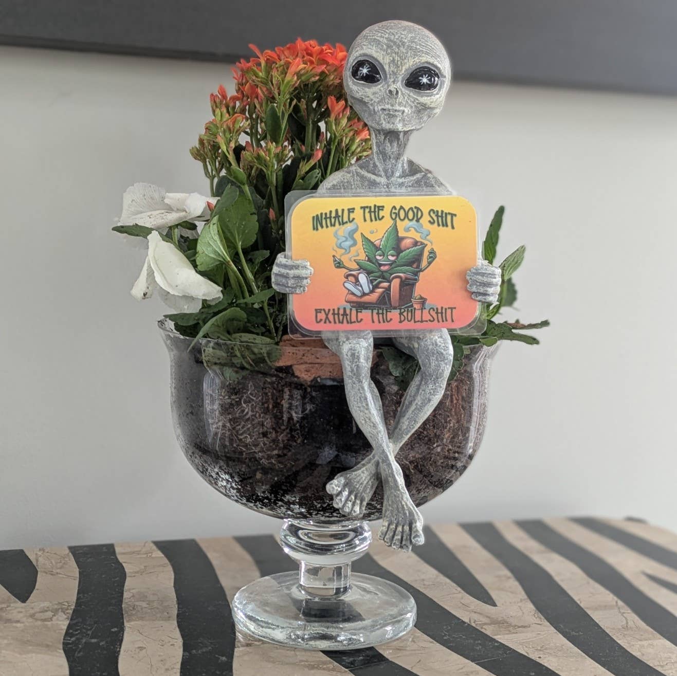 Milkyway Messenger Cannabis/Vape Shop "BS" Shelf Sitter: Gray